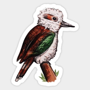 Kookaburra Sticker